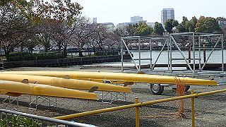 p3300752_thumb.jpg