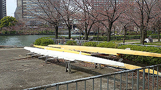 p3300753_thumb.jpg
