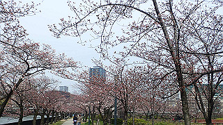p3300754_thumb.jpg