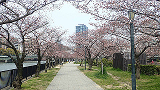 p3300755_thumb.jpg