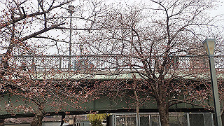 p3300756_thumb.jpg