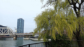 p3300759_thumb.jpg