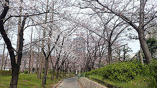 p3300760_thumb.jpg