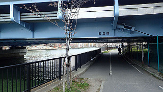 p3300762_thumb.jpg