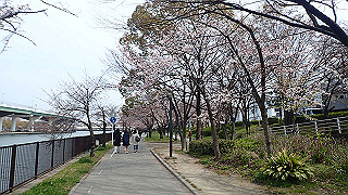 p3300763_thumb.jpg