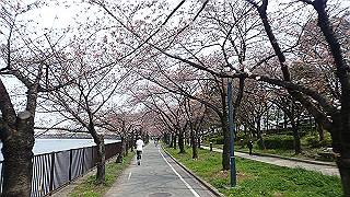 p3300764_thumb.jpg