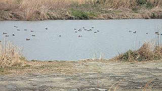 p3300790_thumb.jpg