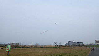 p3300794_thumb.jpg