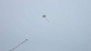 p3300795_thumb.jpg