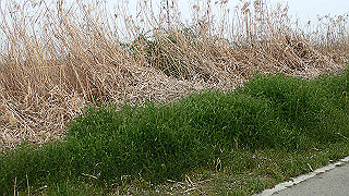 p3300804_thumb.jpg