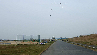 p3300806_thumb.jpg