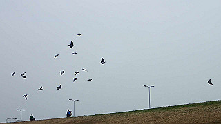 p3300807_thumb.jpg