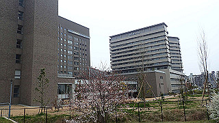 p3300817_thumb.jpg