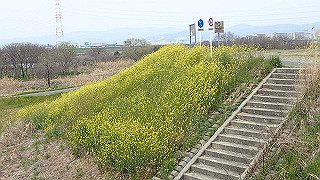 p3300823_thumb.jpg