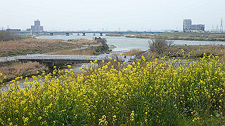 p3300826_thumb.jpg