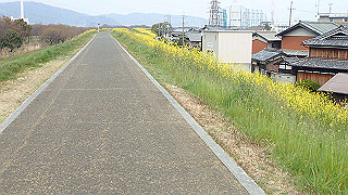 p3300828_thumb.jpg