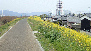 p3300829_thumb.jpg