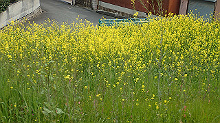 p3300830_thumb.jpg