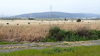 p3300837_thumb.jpg