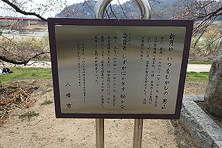 p3300852_thumb.jpg