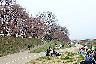 p3300861_thumb.jpg