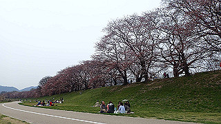 p3300863_thumb.jpg