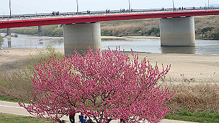 p3300867_thumb.jpg