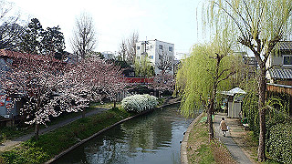 p3300878_thumb.jpg