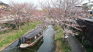 p3300879_thumb.jpg