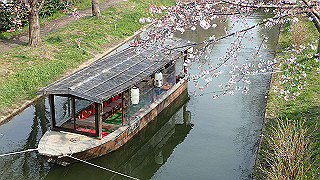 p3300881_thumb.jpg