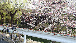 p3300882_thumb.jpg