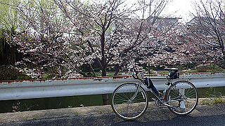 p3300883_thumb.jpg
