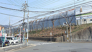 p3300889_thumb.jpg