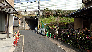 p3300894_thumb.jpg