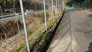 p3300896_thumb.jpg
