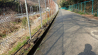 p3300897_thumb.jpg