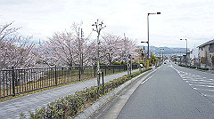dsc00322_thumb.jpg