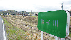 dsc00343_thumb.jpg