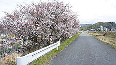 dsc00344_thumb.jpg