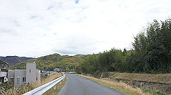 dsc00353_thumb.jpg