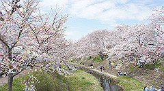 dsc00372_thumb.jpg