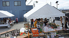 dsc00373_thumb.jpg