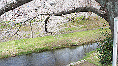 dsc00375_thumb.jpg