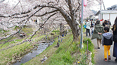 dsc00376_thumb.jpg
