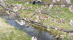 dsc00379_thumb.jpg