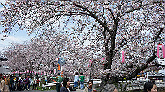 dsc00385_thumb.jpg