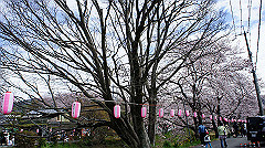 dsc00389_thumb.jpg
