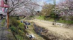 dsc00392_thumb.jpg