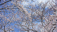 dsc00397_thumb.jpg