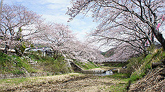 dsc00399_thumb.jpg